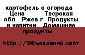 картофель с огорода › Цена ­ 164 - Тверская обл., Ржев г. Продукты и напитки » Домашние продукты   